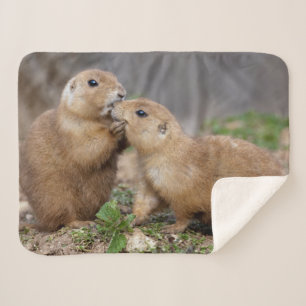 Küssen Sie mich schnelle Sherpa Decke Sherpadecke