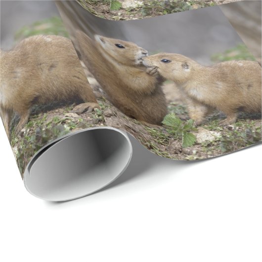 Küssen Sie mir das Quick Wrapping Papier Geschenkpapier (Rolleneckpunkt)