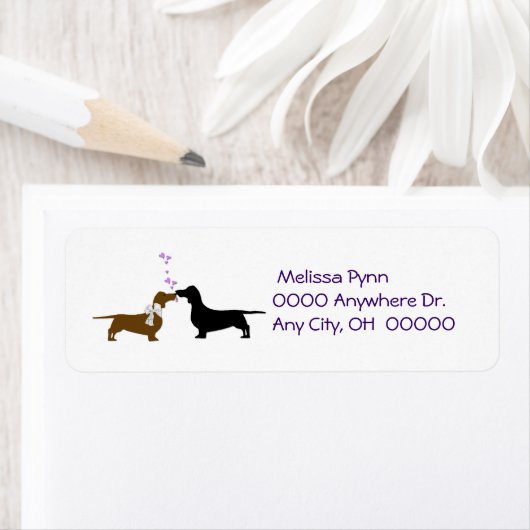 Küssen von Dackeln Rücksendeadresse (Insitu)