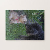Küssen von Hunden Welpe Liebe Puzzle (Horizontal)