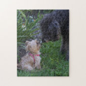 Küssen von Hunden Welpe Liebe Puzzle (Vertikal)