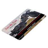 Küssen von Kälbern Hochzeit Speichern Sie das Datu Magnet (Linke Seite)