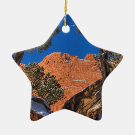 Küssen von Kameln Gerahmt von Bäume 01 Keramik Ornament (Vorne)
