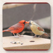 Küssen von Kardinälen Getränkeuntersetzer (Vorderseite)