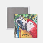 Küssen von Makaws-Magnet Magnet (Vorderseite/Rückseite)