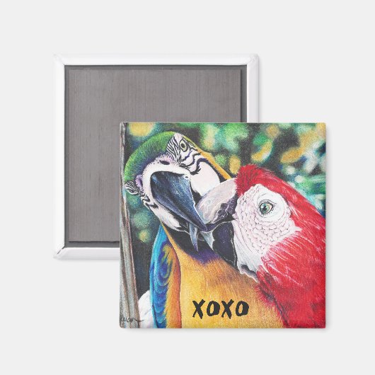 Küssen von Makaws-Magnet Magnet (Vorderseite/Rückseite)