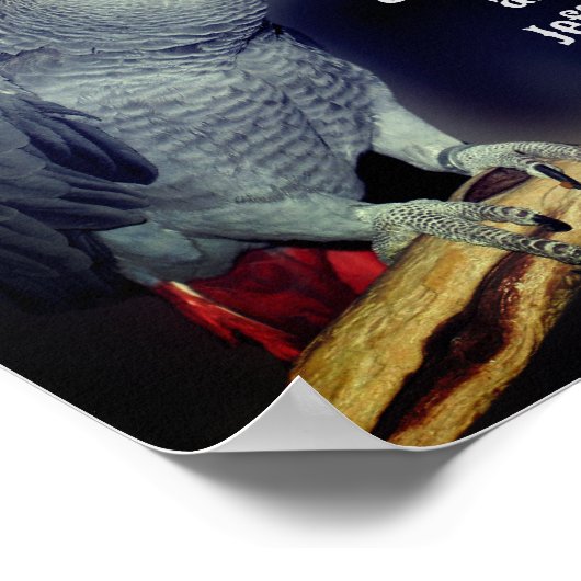 Küssen von Papageien Niedliches Personalisiertes H Poster (Ecke)