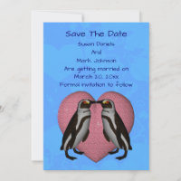 Küssen von Pinguinen Niedliche Hochzeit