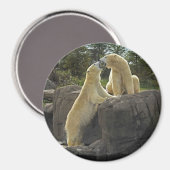 Küssen von Polarbären Magnet (Vorderseite/Rückseite)
