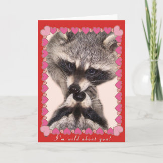 Küssen von Raccoons Feiertagskarte