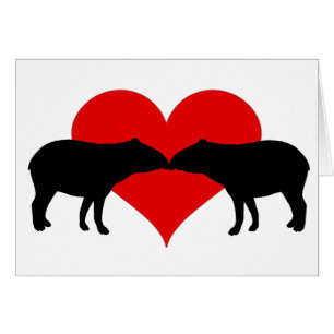 Küssen von Tapirs