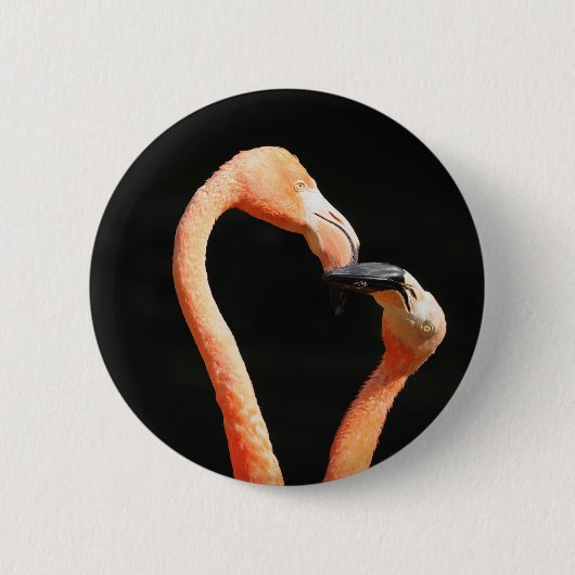 Küssende Flamingos Button (Vorderseite)