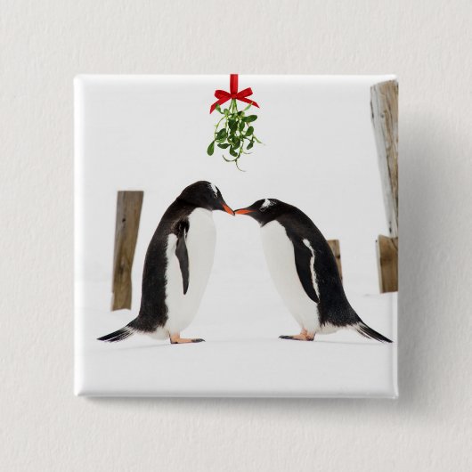 Küssende Gentoo Pinguine - Knopf Button (Vorderseite)