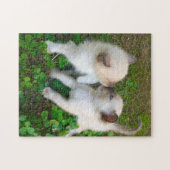 küssende Kätzchen Puzzle (Horizontal)
