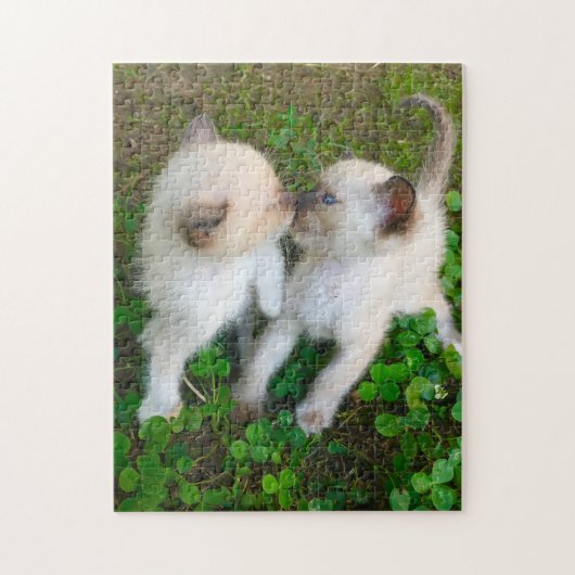 küssende Kätzchen Puzzle (Vertikal)