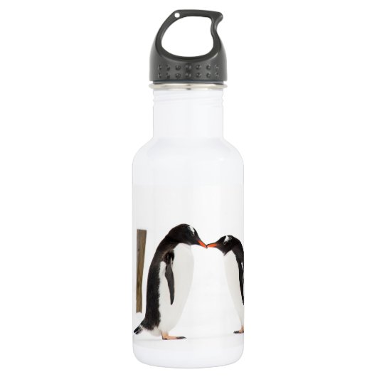 Küssende Pinguine - Wasserflasche (Vorderseite)
