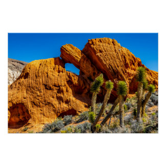 Küssender Schildkrötenfels Glänzend Poster