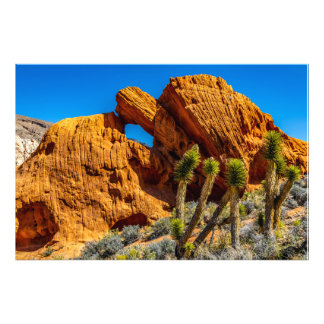 Küssender Schildkrötenfelsen Fotodruck