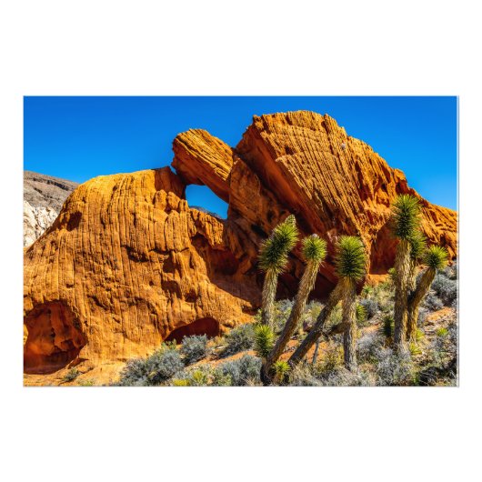 Küssender Schildkrötenfelsen Fotodruck (Vorne)