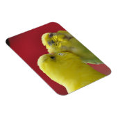 Küsst Budgien! Magnet (Rechte Seite)