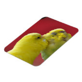 Küsst Budgien! Magnet (Linke Seite)