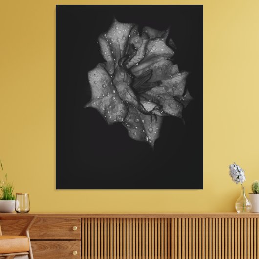 Küsste Petalen in Dunkelheit Leinwanddruck (Insitu (Wohnzimmer))