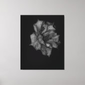 Küsste Petalen in Dunkelheit Leinwanddruck (Vorderseite)