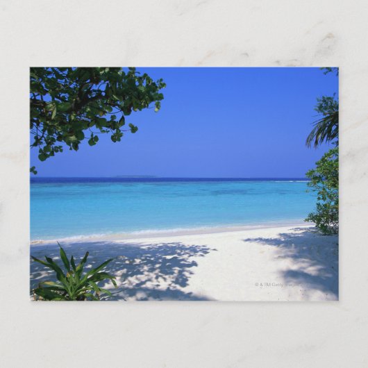 Küste 13 postkarte (Vorderseite)