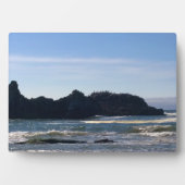 Küste am Siegel Rock OR Fotoplatte (Vorderseite)