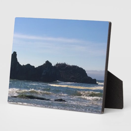 Küste am Siegel Rock OR Fotoplatte (Seite)