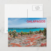 Küste bei Galapagos Postkarte (Vorne/Hinten)