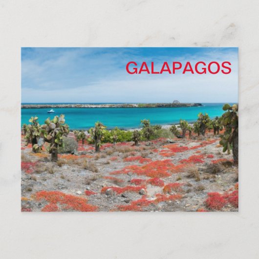 Küste bei Galapagos Postkarte (Vorderseite)