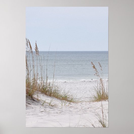 Küste des Alabama-Golfs Poster (Vorne)