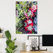 Küste Dudleya an der Stelle Reyes National Seehote Poster (Heimbüro)