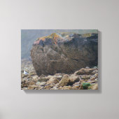 Küste, Felsstrand, Felsen, Felsen, Küste, einzigar Leinwanddruck (Vorderseite)