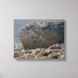 Küste, Felsstrand, Felsen, Felsen, Küste, einzigar Leinwanddruck