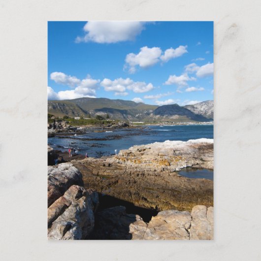 Küste Hermanus Postkarte (Vorderseite)