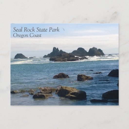 Küste in Siegel Rock Oregon Postkarte (Vorderseite)