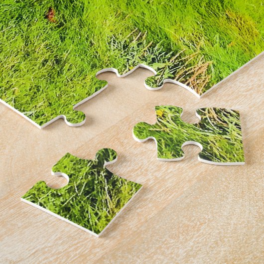 Küste Irlands, Foto, Puzzle (Seite)