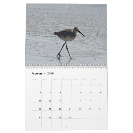 Küste-Kalender Kalender (Feb 2018)