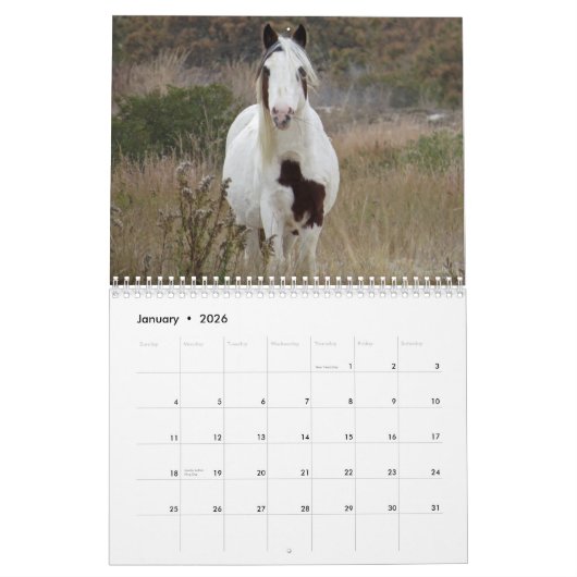 Küste-Kalender Kalender (Jan 2026)