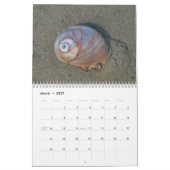 Küste-Kalender Kalender (Mär 2027)