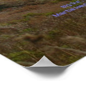 Küste Kaliforniens - Big Sur - Poster (Ecke)