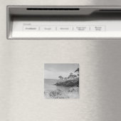 Küste Magnet (In Situ (Geschirrspüler))