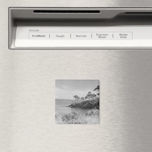 Küste Magnet (In Situ (Geschirrspüler))