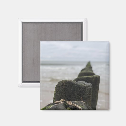 Küste Magnet (Vorderseite/Rückseite)