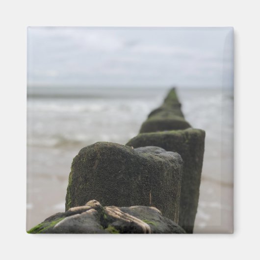 Küste Magnet (Vorne)