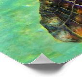 Küste - Meeresschildkröteninsel Poster (Ecke)