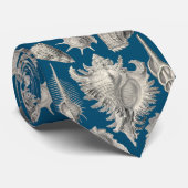 Küste Navy Blau und Weiß Seashells Ozean Krawatte (Gerollt)