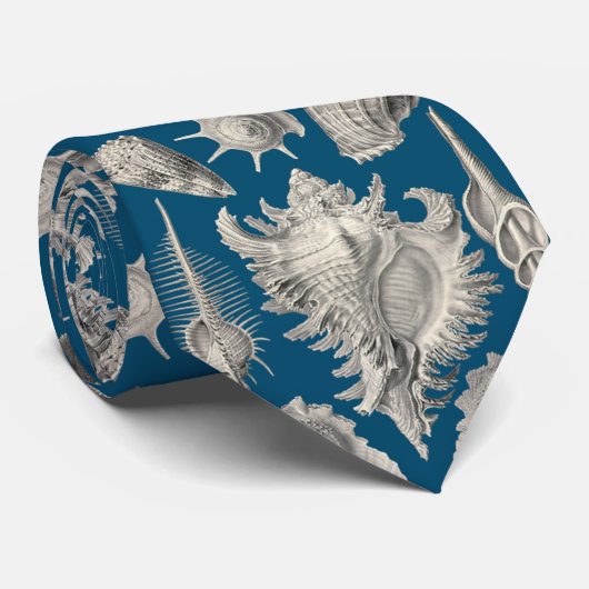 Küste Navy Blau und Weiß Seashells Ozean Krawatte (Gerollt)